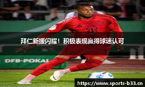 b33体育官网
