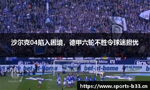 b33体育平台