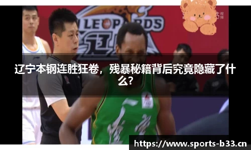 b33体育官网