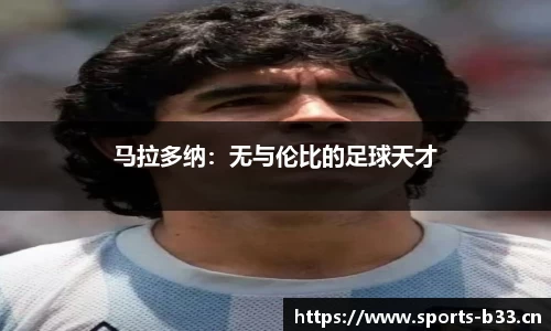 b33体育平台