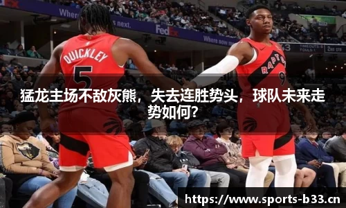 b33体育官网