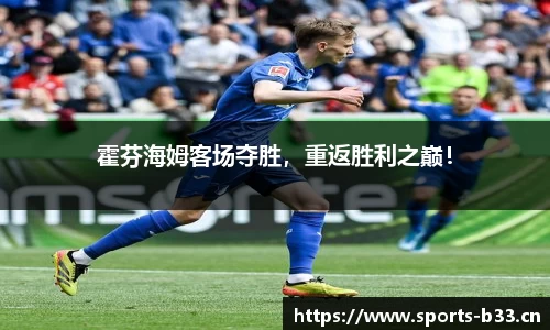 b33体育平台