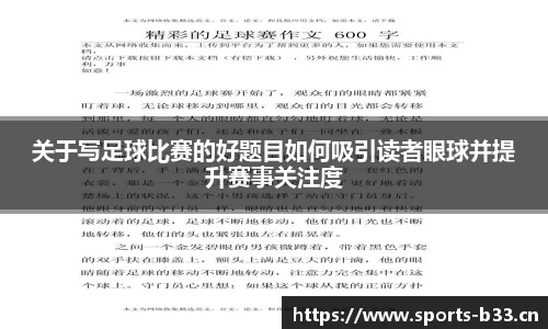 b33体育官网