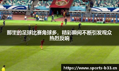 b33体育官网