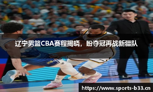 b33体育