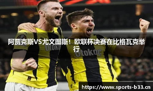 b33体育官网
