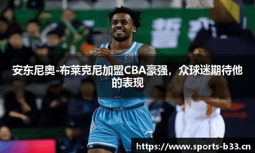 b33体育