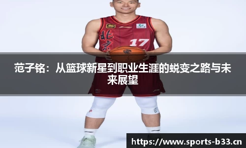b33体育官网