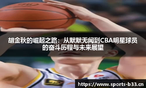 b33体育官网