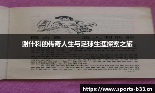 b33体育