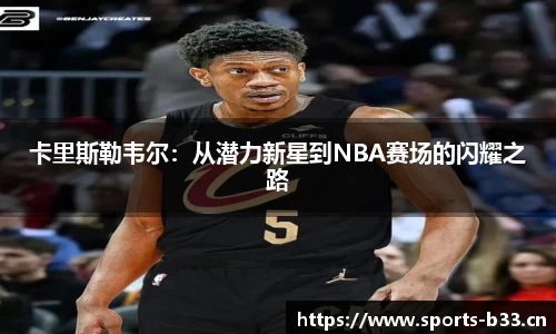 b33体育平台