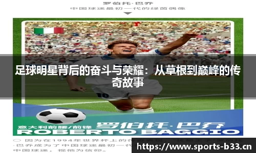 b33体育